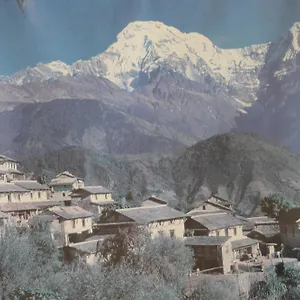 Mount Annapurna Affittacamere